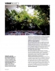Elle Decor Italia